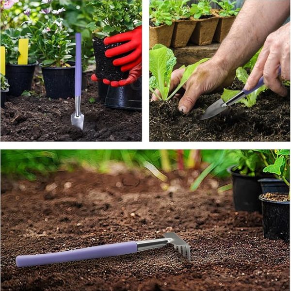 Mini Stainless Steel Garden Tool Set with Shovel, Rake and Trowel for Indoor Plants